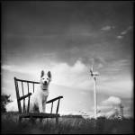 Jean-Baptiste PETER - JIB PETER PHOTOGRAPHE